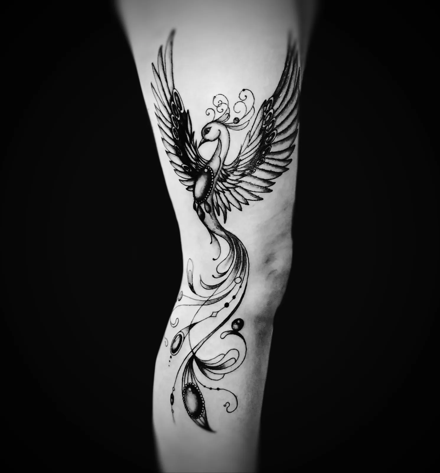 Graficzny tatuaż feniksa z delikatnym ornamentem na łydce, wykonany w PM Tattoo w Legnicy